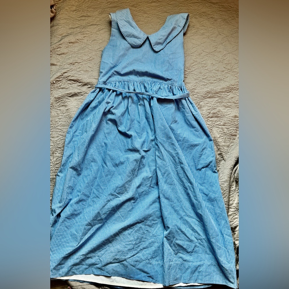Vintage Blue Gingham Sleeveless Dress